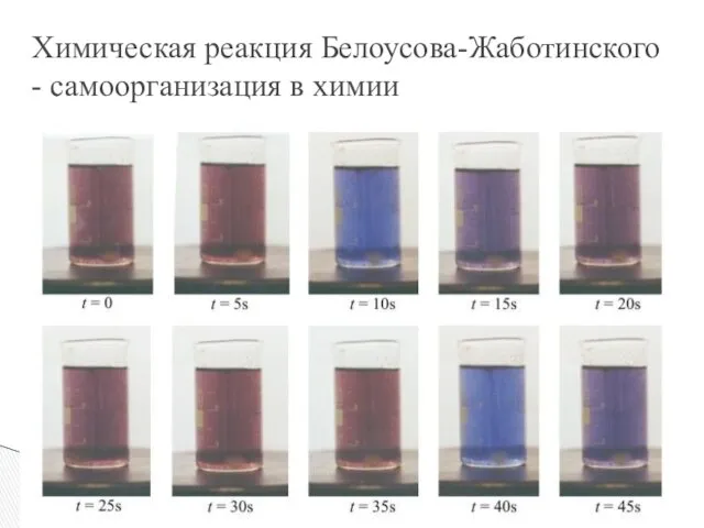 Химическая реакция Белоусова-Жаботинского - самоорганизация в химии