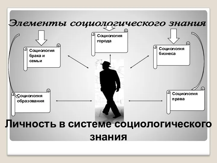 Элементы социологического знания Социология брака и семьи Социология образования Социология