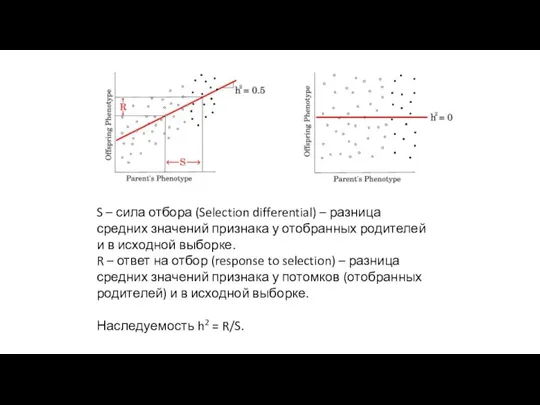 S – сила отбора (Selection differential) – разница средних значений