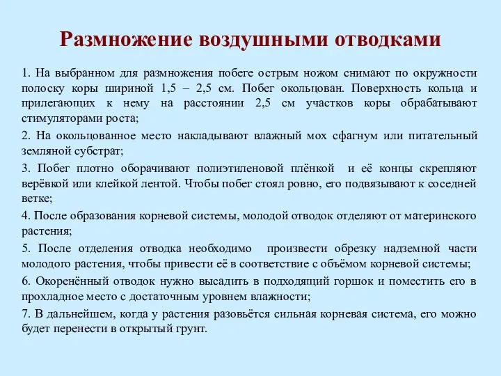 Размножение воздушными отводками 1. На выбранном для размножения побеге острым