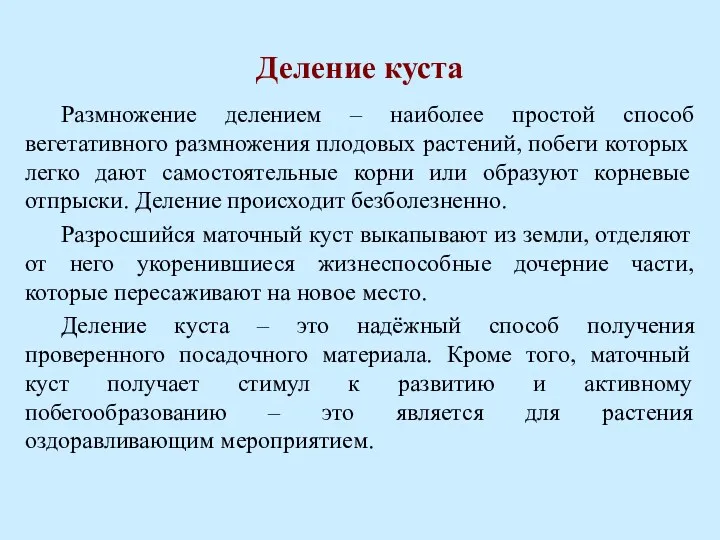 Деление куста Размножение делением – наиболее простой способ вегетативного размножения