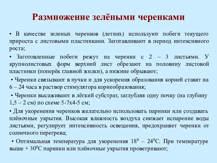 Размножение зелёными черенками • В качестве зеленых черенков (летних) используют