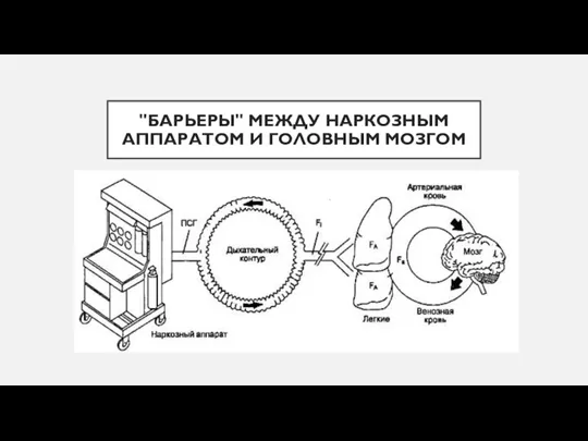 "БАРЬЕРЫ" МЕЖДУ НАРКОЗНЫМ АППАРАТОМ И ГОЛОВНЫМ МОЗГОМ