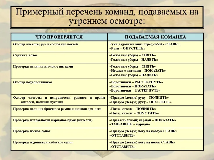 Примерный перечень команд, подаваемых на утреннем осмотре: