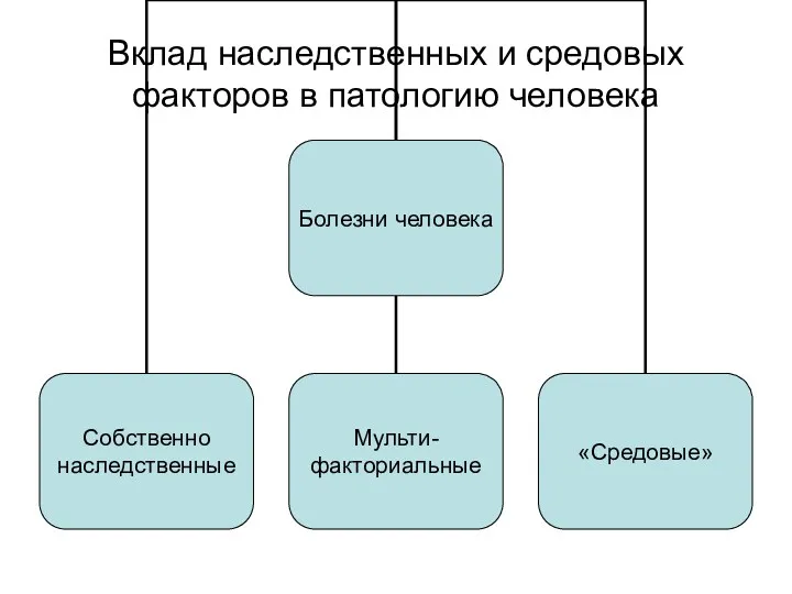 Вклад наследственных и средовых факторов в патологию человека