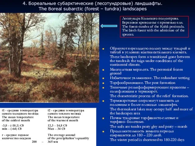 4. Бореальные субарктические (лесотундровые) ландшафты. The Boreal subarctic (forest –