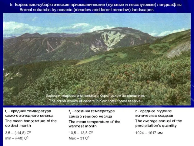 5. Бореально-субарктические приокеанические (луговые и лесолуговые) ландшафты Boreal subarctic by