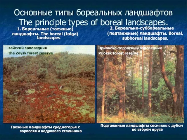 Основные типы бореальных ландшафтов The principle types of boreal landscapes.