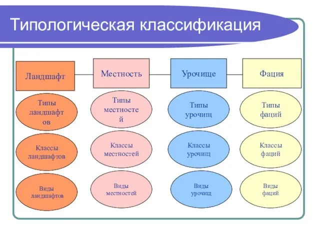 Типологическая классификация Типы ландшафтов Местность Урочище Фация Ландшафт Типы местностей