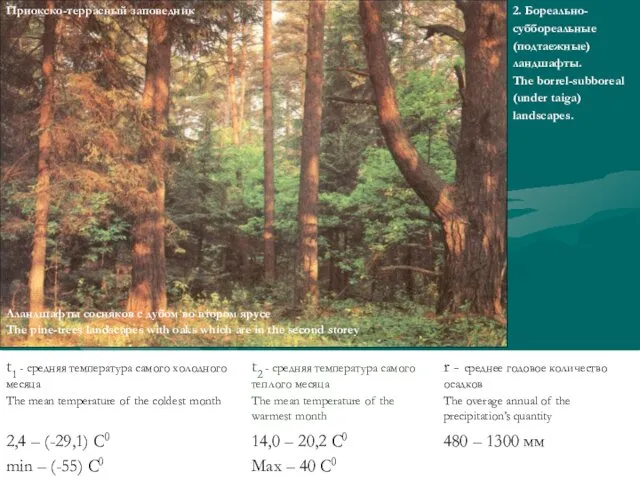 2. Бореально- суббореальные (подтаежные) ландшафты. The borrel-subboreal (under taiga) landscapes.