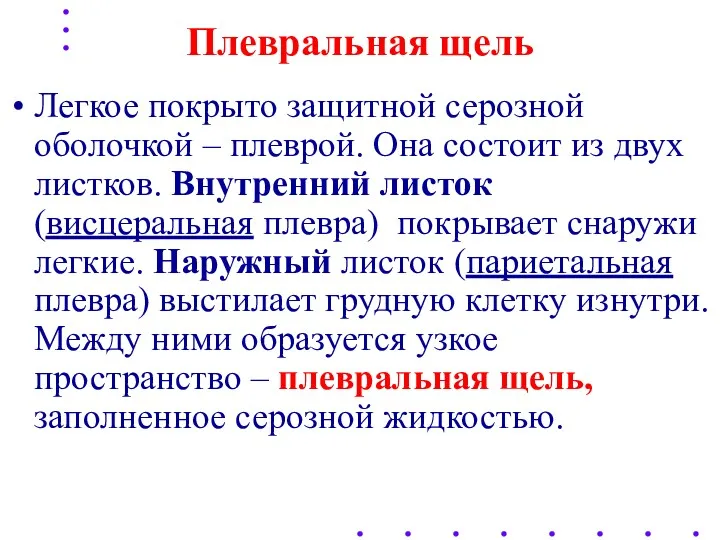 Плевральная щель Легкое покрыто защитной серозной оболочкой – плеврой. Она