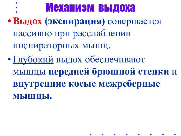 Механизм выдоха Выдох (экспирация) совершается пассивно при расслаблении инспираторных мышц.