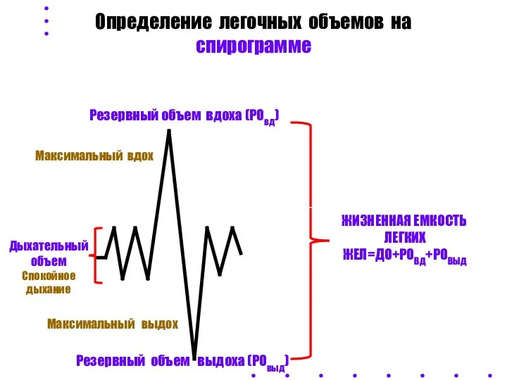 Дыхательный объем Спокойное дыхание Определение легочных объемов на спирограмме Резервный