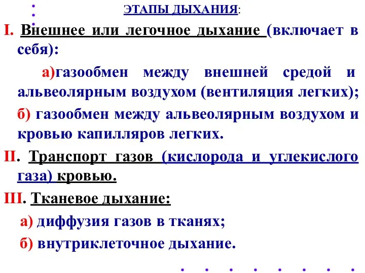 ЭТАПЫ ДЫХАНИЯ: I. Внешнее или легочное дыхание (включает в себя):