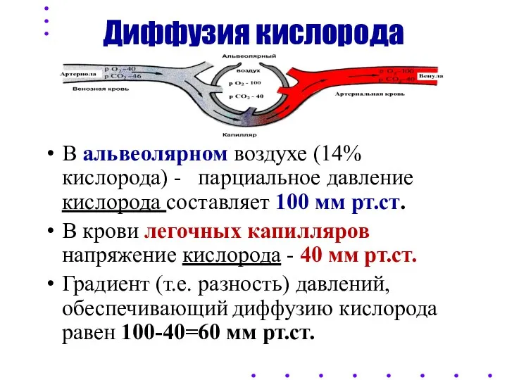 Диффузия кислорода В альвеолярном воздухе (14% кислорода) - парциальное давление