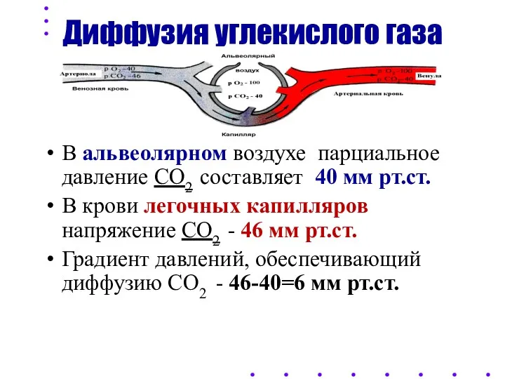 Диффузия углекислого газа В альвеолярном воздухе парциальное давление СО2 составляет