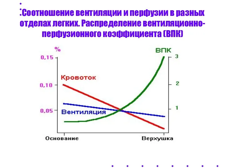 Соотношение вентиляции и перфузии в разных отделах легких. Распределение вентиляционно-перфузионного коэффициента (ВПК)