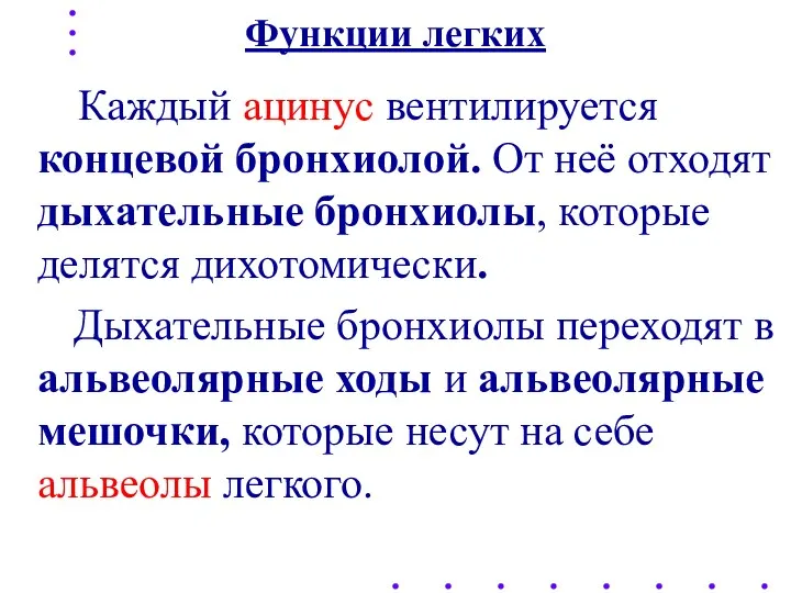 Функции легких Каждый ацинус вентилируется концевой бронхиолой. От неё отходят