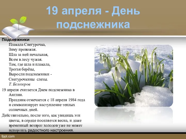 19 апреля - День подснежника Подснежники Плакала Снегурочка, Зиму провожая.