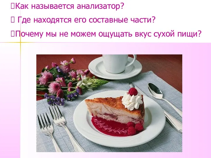 Как называется анализатор? Где находятся его составные части? Почему мы не можем ощущать вкус сухой пищи?