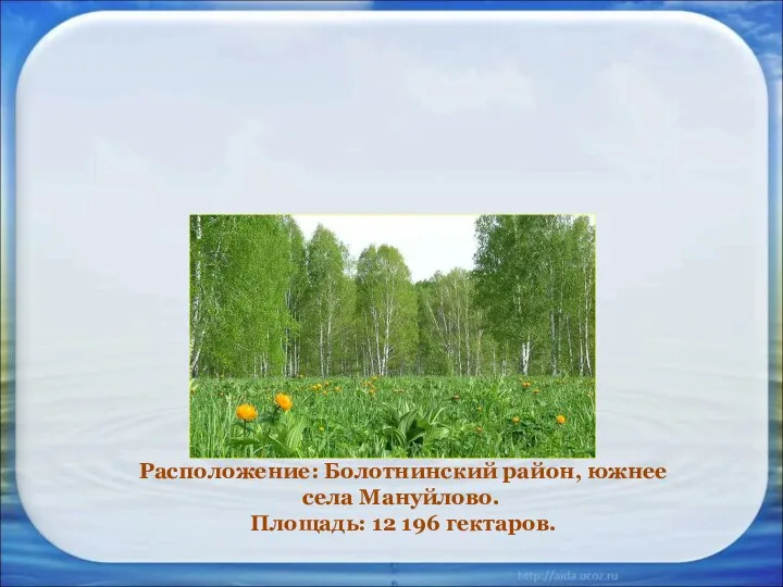 Расположение: Болотнинский район, южнее села Мануйлово. Площадь: 12 196 гектаров. Заказник Мануйловский