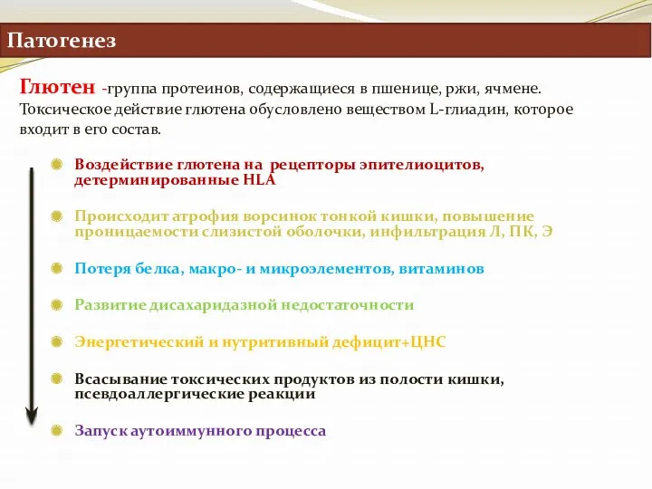 Патогенез Глютен -группа протеинов, содержащиеся в пшенице, ржи, ячмене. Токсическое