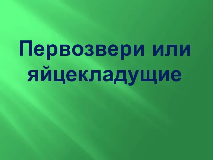 Первозвери или яйцекладущие