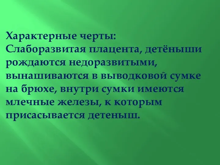 Характерные черты: Слаборазвитая плацента, детёныши рождаются недоразвитыми, вынашиваются в выводковой