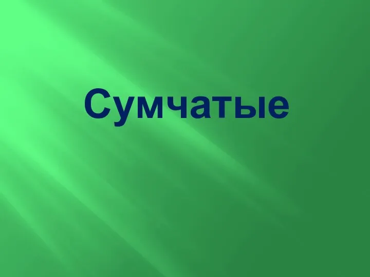 Сумчатые