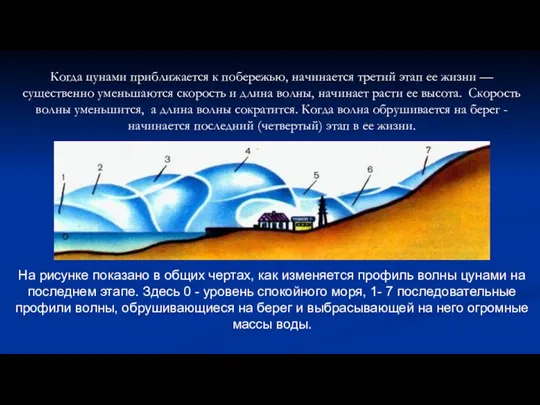 Когда цунами приближается к побережью, начинается третий этап ее жизни