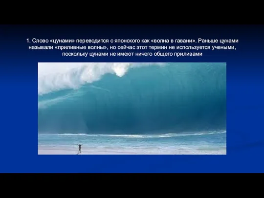 1. Слово «цунами» переводится с японского как «волна в гавани».