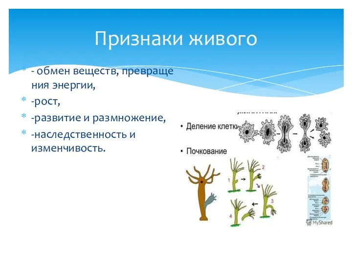 - обмен веществ, превраще­ния энергии, -рост, -развитие и размножение, -наследственность и изменчивость. Признаки живого