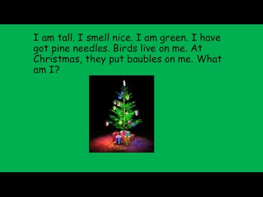 I am tall. I smell nice. I am green. I
