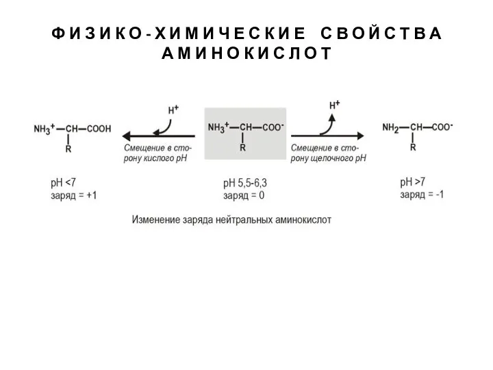 Ф И З И К О - Х И М