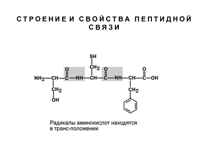 С Т Р О Е Н И Е И С