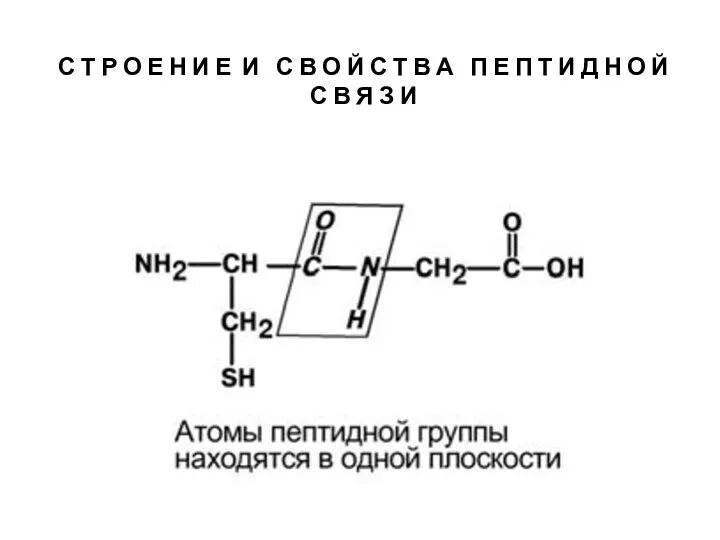 С Т Р О Е Н И Е И С