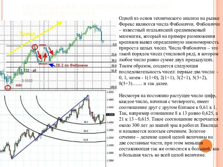 ТЕХНИЧЕСКИЙ АНАЛИЗ РЫНКА ФОРЕКС. ЧИСЛА ФИБОНАЧЧИ. Одной из основ технического