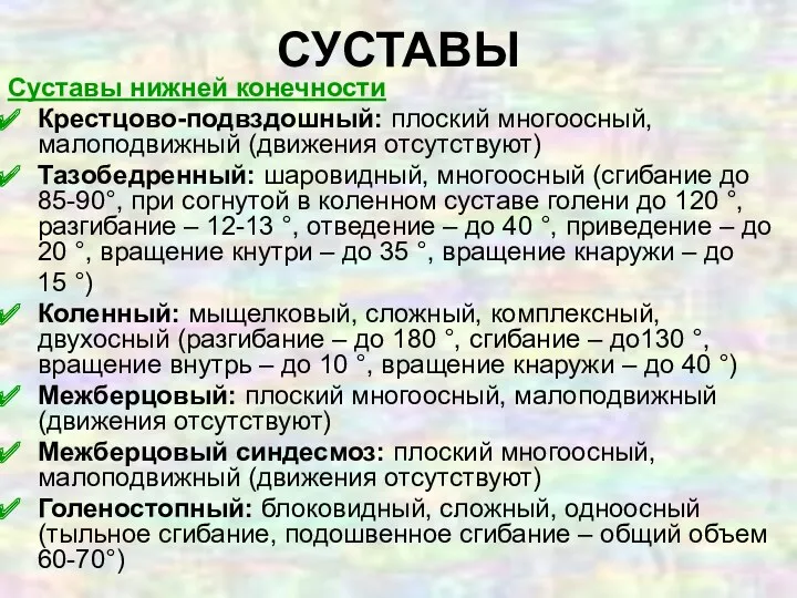 Суставы нижней конечности Крестцово-подвздошный: плоский многоосный, малоподвижный (движения отсутствуют) Тазобедренный: