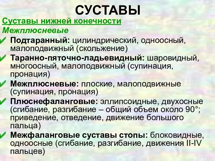 Суставы нижней конечности Межплюсневые Подтаранный: цилиндрический, одноосный, малоподвижный (скольжение) Таранно-пяточно-ладьевидный: