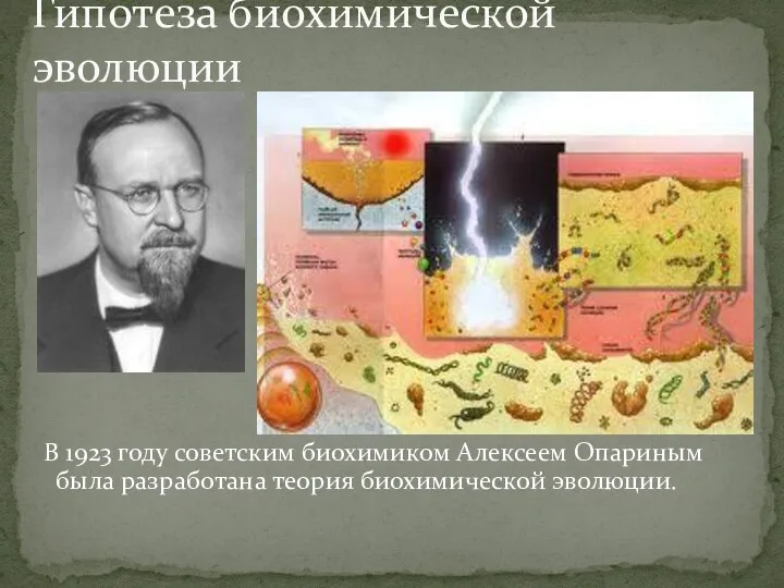 В 1923 году советским биохимиком Алексеем Опариным была разработана теория биохимической эволюции. Гипотеза биохимической эволюции