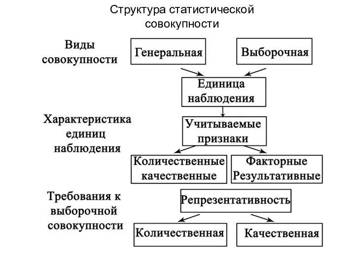 Структура статистической совокупности