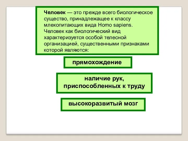 Человек — это прежде всего биологическое существо, принадлежащее к классу