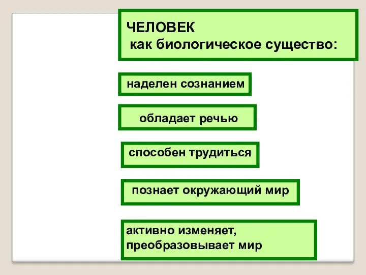 наделен сознанием способен трудиться обладает речью ЧЕЛОВЕК как биологическое существо: