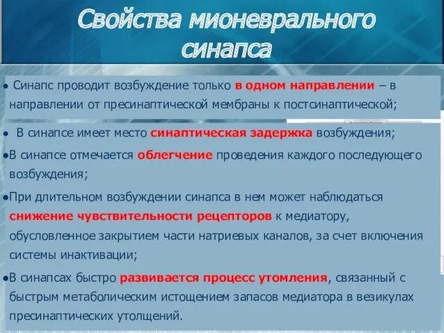 Свойства мионеврального синапса Синапс проводит возбуждение только в одном направлении