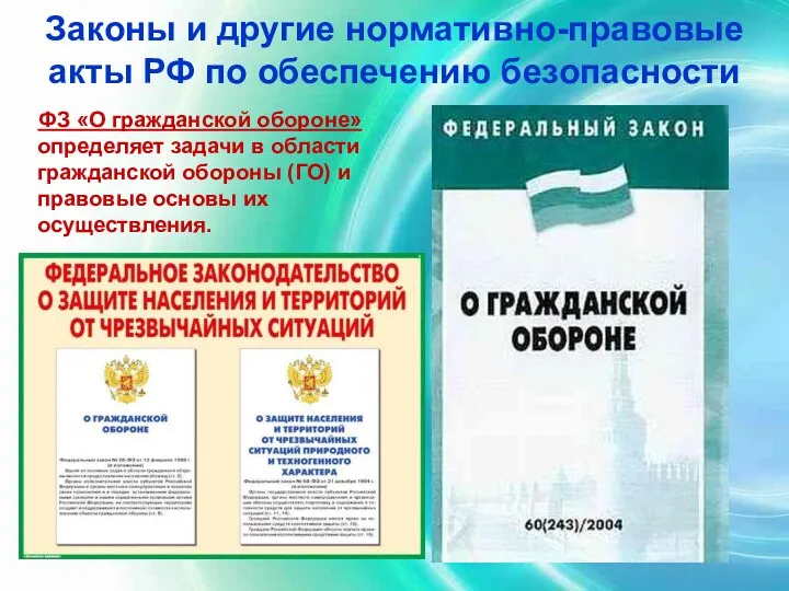 Законы и другие нормативно-правовые акты РФ по обеспечению безопасности ФЗ