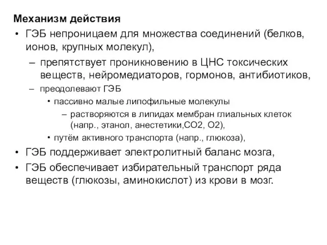 Механизм действия ГЭБ непроницаем для множества соединений (белков, ионов, крупных