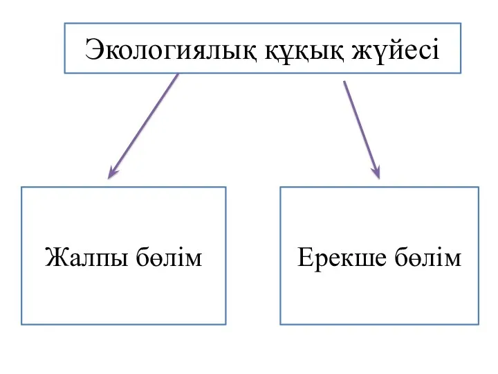 Экологиялық құқық жүйесі Жалпы бөлім Ерекше бөлім