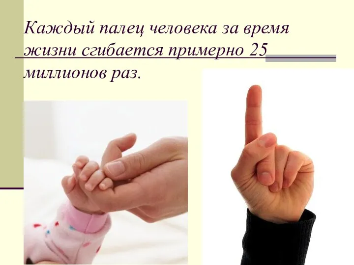 Каждый палец человека за время жизни сгибается примерно 25 миллионов раз.