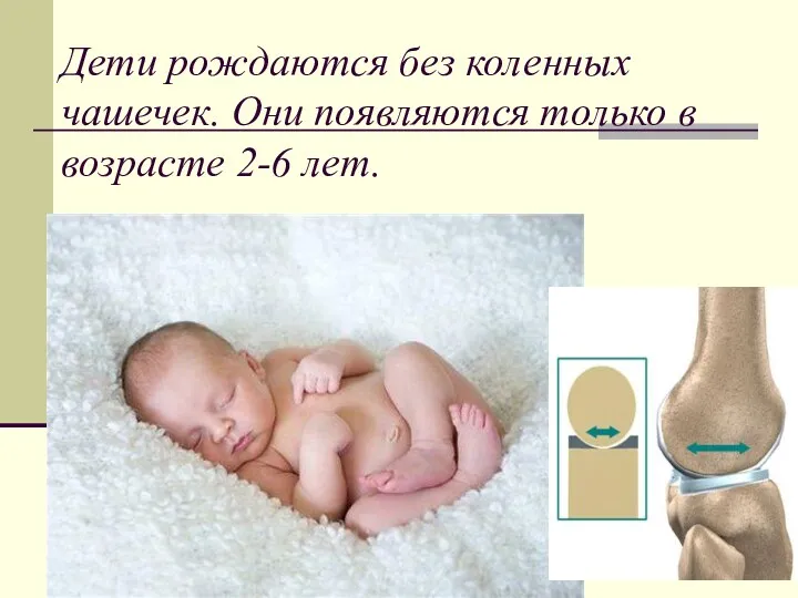 Дети рождаются без коленных чашечек. Они появляются только в возрасте 2-6 лет.