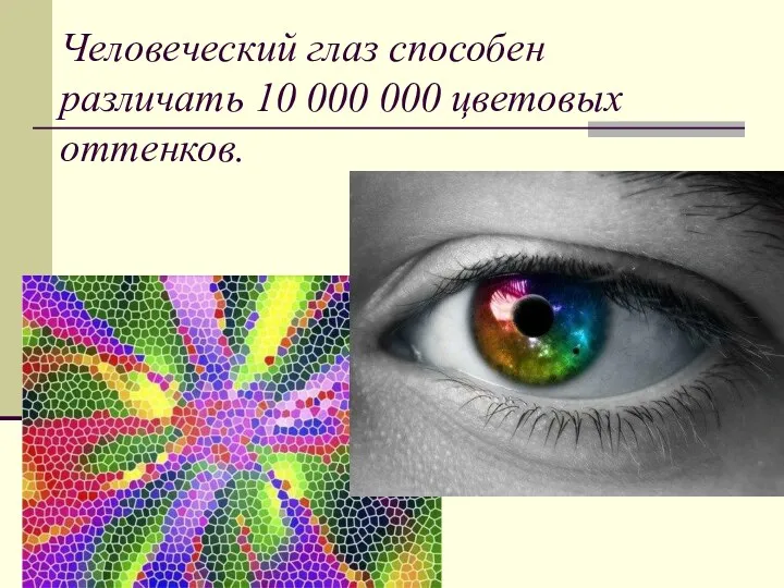 Человеческий глаз способен различать 10 000 000 цветовых оттенков.